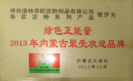 绿色正能量2013年内蒙古最受欢迎品牌