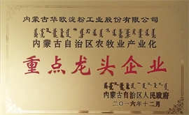 Plaque of Key Leading Enterprise of Inner Mongolia