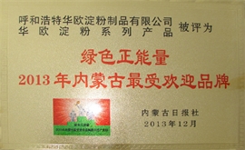 Green Positive Energy---The Most Popular Brand in Inner Mongolia 2013